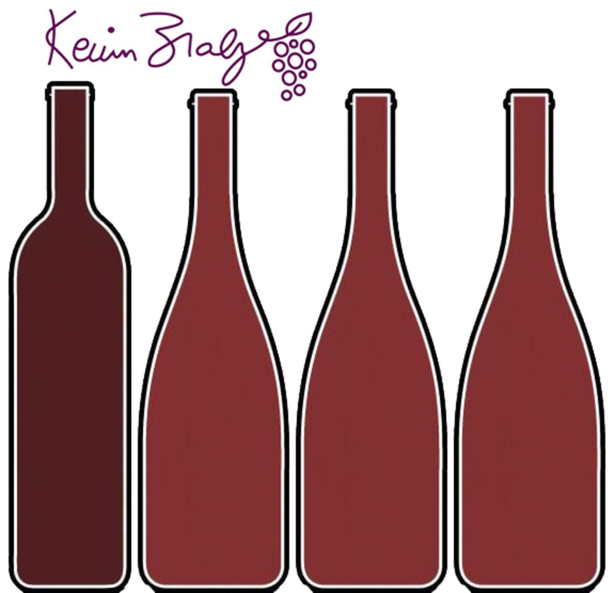 Kevin Zraly's One Hour Italian Red Wine Expert Tasting Kit