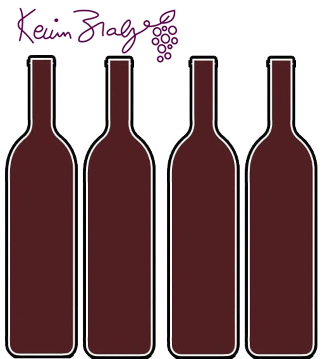 Kevin Zraly's One Hour Spanish Red Wine Expert Tasting Kit