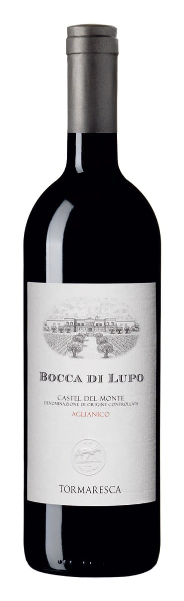 Bocca di Lupo: which of these Puglia wines are worth buying?