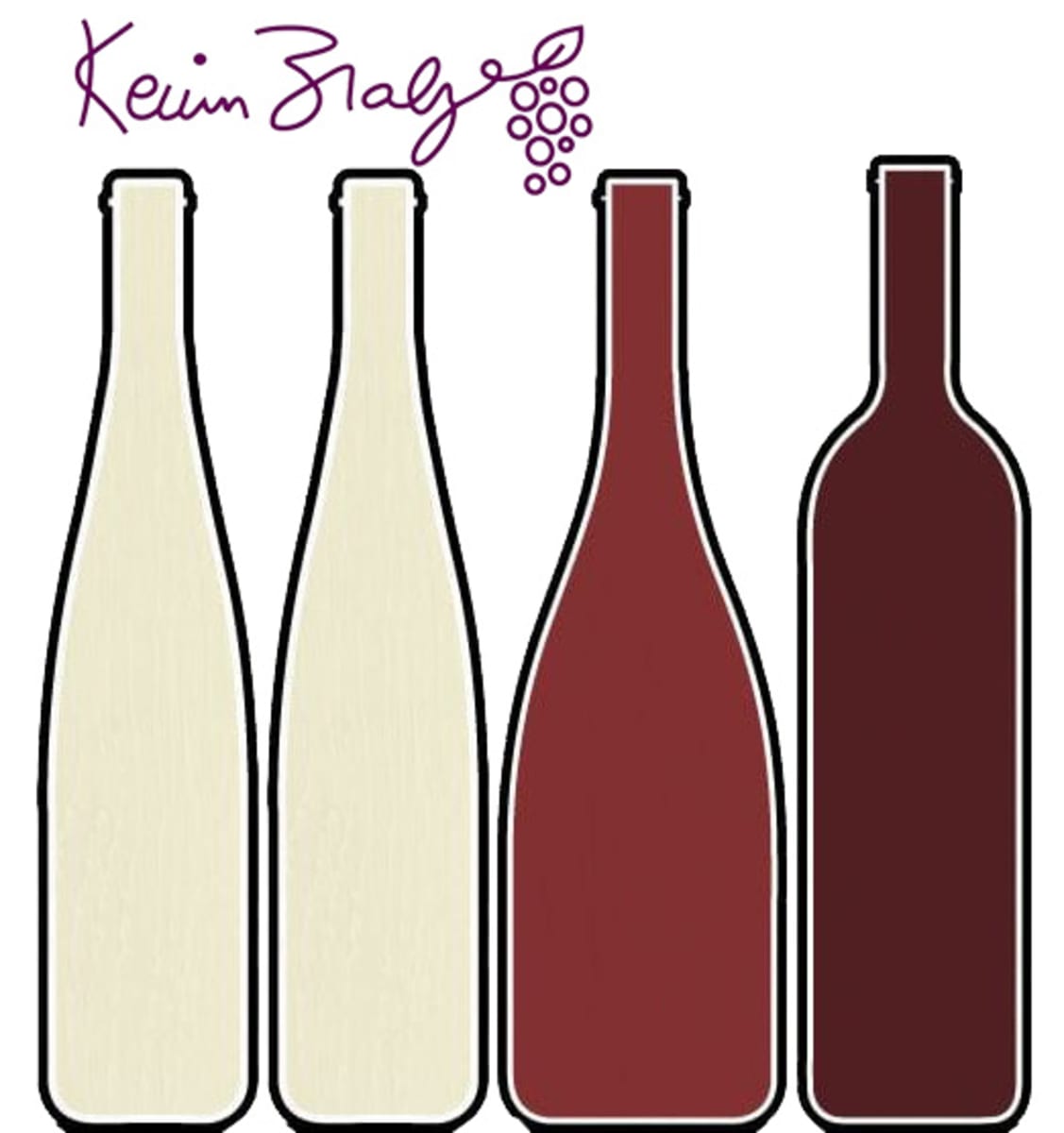 Kevin Zraly's One Hour Wine Expert Tasting Kit