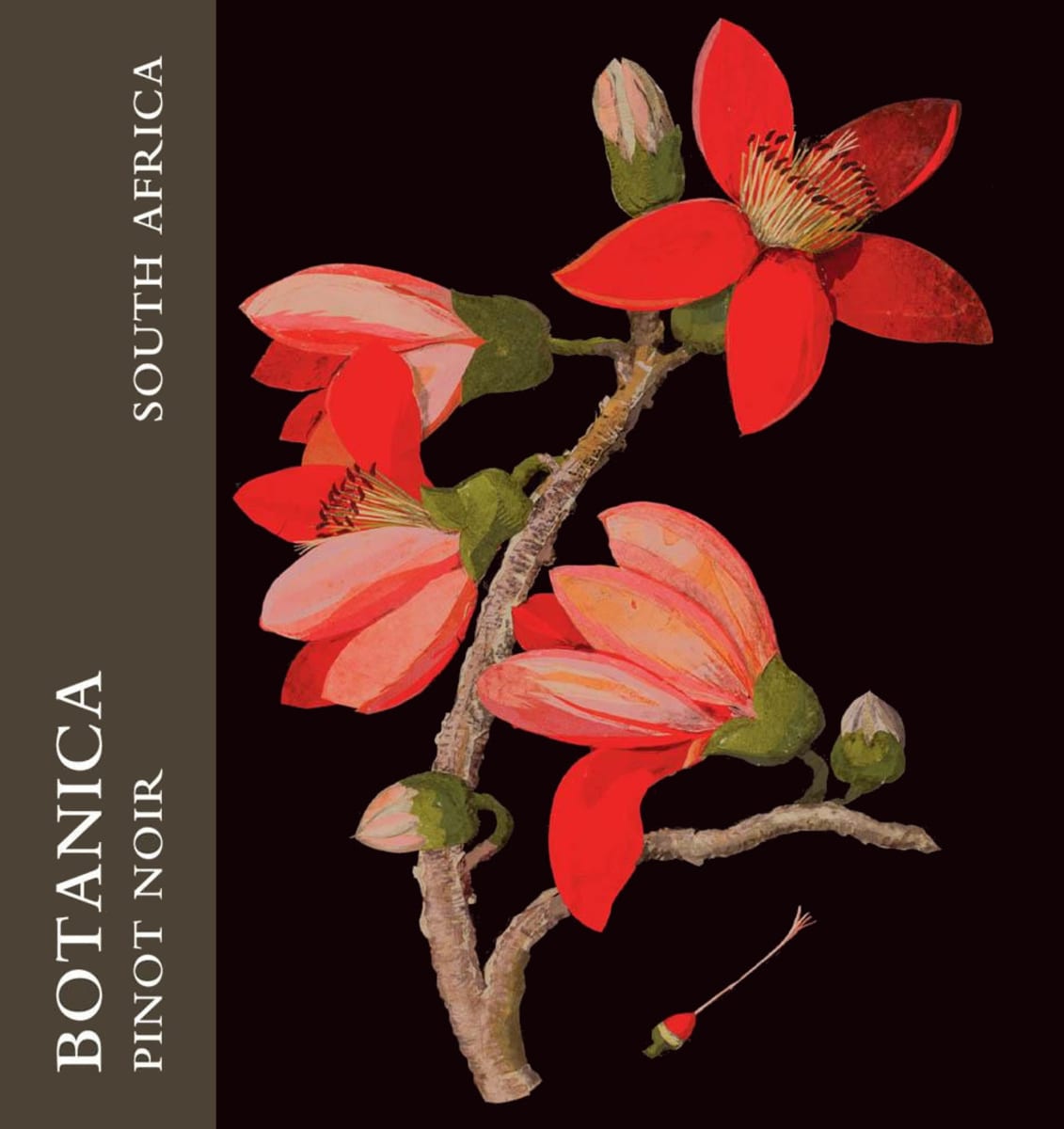 Botanica Wines Pinot Noir 2015  Front Label