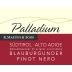 K. Martini & Sohn Sudtirol-Alto Adige Palladium Blauburgunder Pinot Nero 2015 Front Label