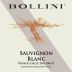 Bollini Sauvignon Blanc 2019  Front Label