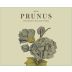 Gota Wines Prunus Branco 2020  Front Label