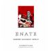 Enate Unico Cabernet Sauvignon - Merlot 2011 Front Label