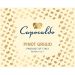 Caposaldo Pinot Grigio 2014 Front Label