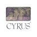 Alexander Valley Vineyards Cyrus 2011 Front Label