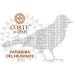 Corte dei Papi Passerina del Frusinate 2013 Front Label