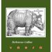 La Spinetta Barbaresco Gallina 1999 Front Label