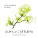 Alma de Cattleya Sauvignon Blanc 2020 Front Label