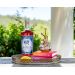 Great Women Spirits by Francis Ford Coppola Hypatia Rubi Amaro Hypatia on the Patio Gift Product Image