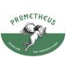 Prometheus Montepulciano 2021 Front Label