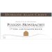 Alain Chavy Puligny-Montrachet Champs Gains Premier Cru 2016 Front Label