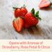 Meiomi Rose 2017 Aromas of strawberry, rose & citrus Gift Product Image