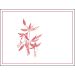 Arnot-Roberts Coastlands Vineyard Pinot Noir 2018 Front Label