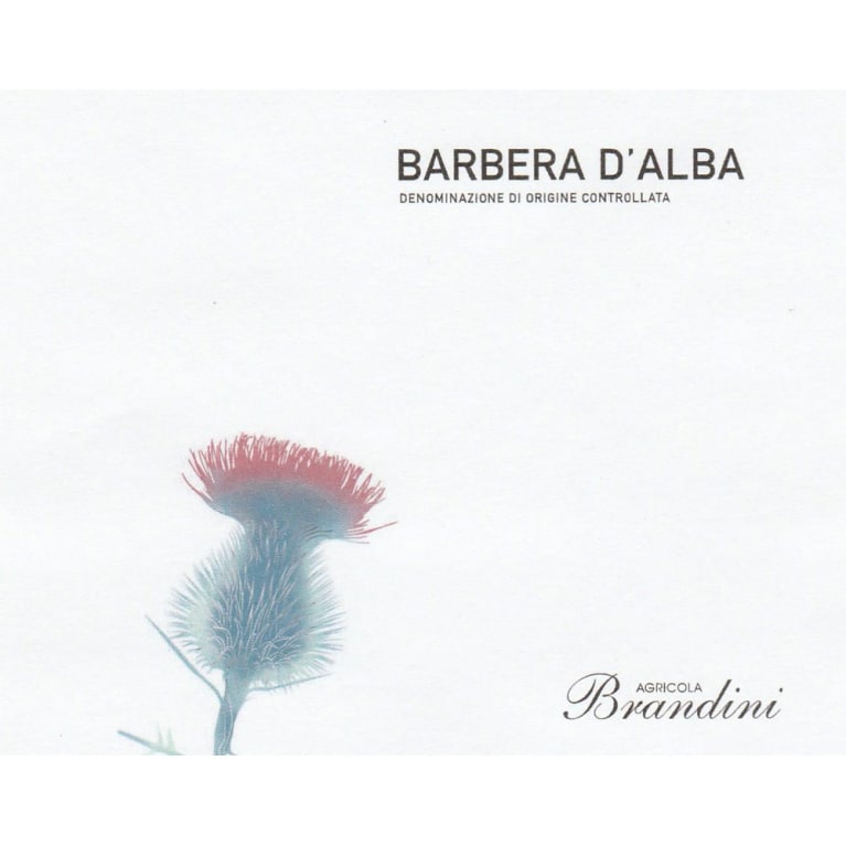 Brandini Barbera d'Alba 2013 Front Label