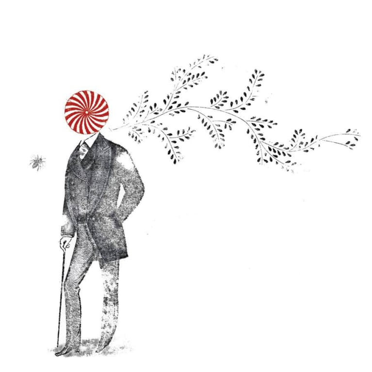 Madness and Cures Sanity Red Wine 2014