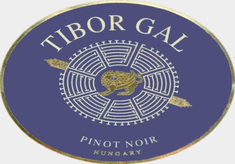 Gal Tibor Pinceszet Pinot Noir 2013 Front Label