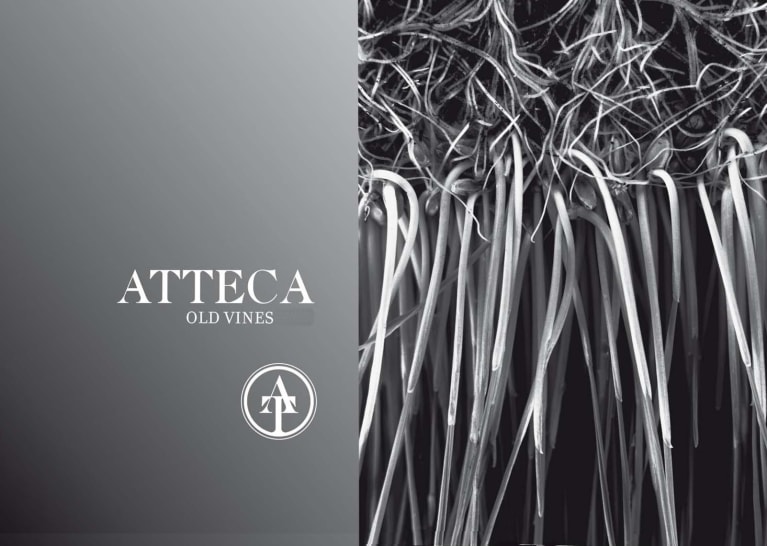 Bodegas Ateca Atteca Old Vine Garnacha 2017 Front Label