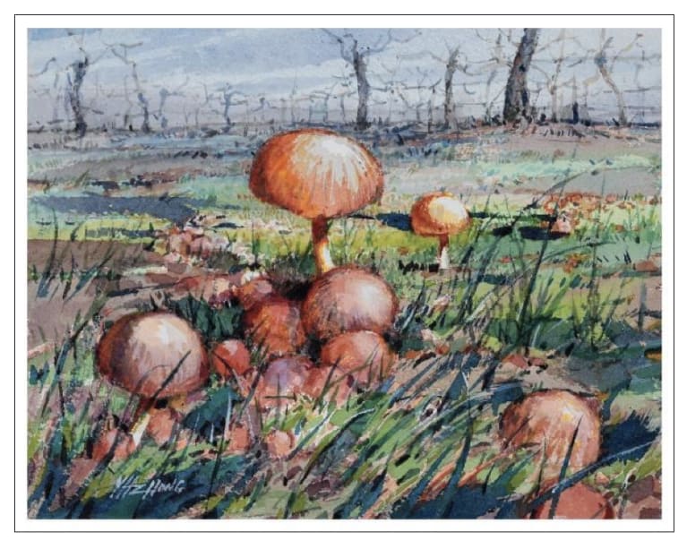 Johan Vineyards Drueskall Pinot Gris 2020