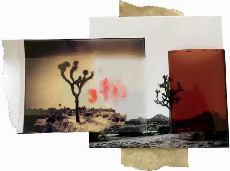 Orin Swift Cellars 8 Years in the Desert 2020