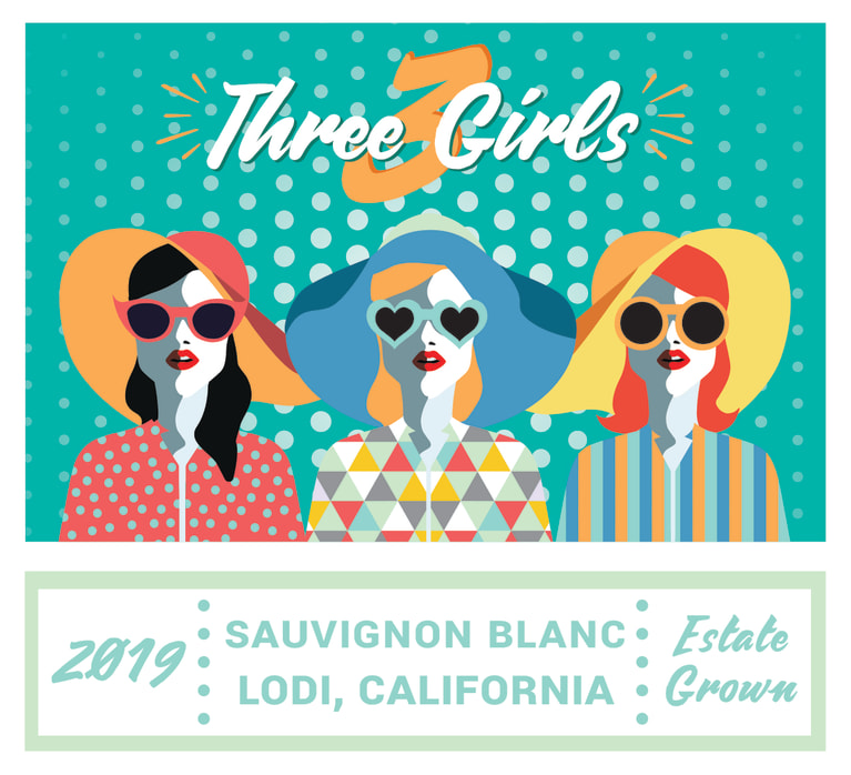 3 Girls The Instigator Sauvignon Blanc 2019 Front Label