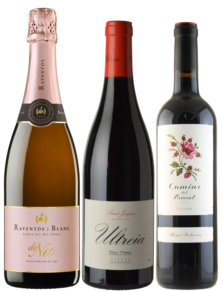 spanish wines spanish wines