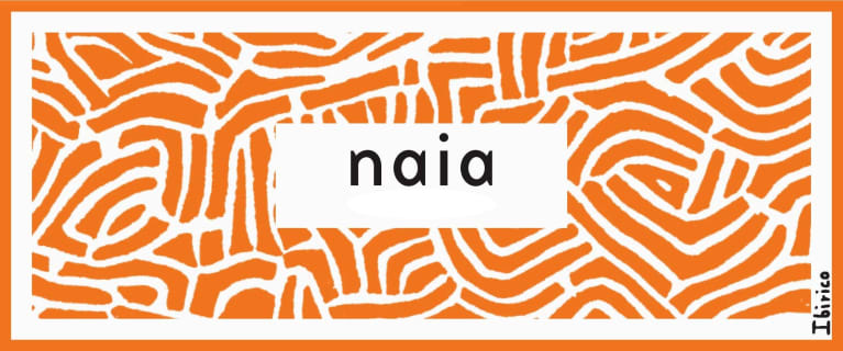 Bodegas Naia Verdejo 2020 Front Label