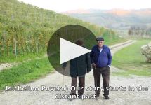 Cantine Povero Learn More About  Cantine Povero Winery Video