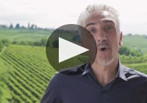 Santa Margherita Winery Video