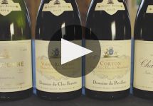 Albert Bichot Winery Video