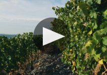 Schmitt Sohne  Winery Video