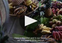 Gracias a Dios Winery Video