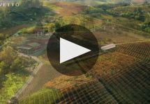 Rivetto  Winery Video