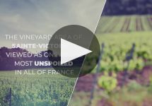 Chateau Gassier Winery Video