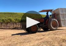 Bargetto Winery Video