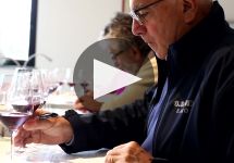 G.D. Vajra Winery Video