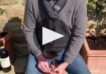 Cortonesi Winery Video