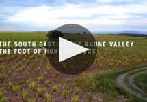 Cellier des Dauphins History in the Making Winery Video