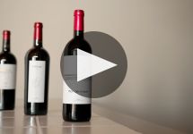 Vetus Winery Video