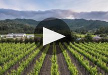 Pellet Estate  Winery Video