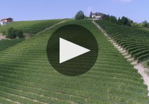 Bruna Grimaldi Winery Video