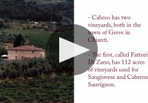 Tenute del Cabreo Winery Video