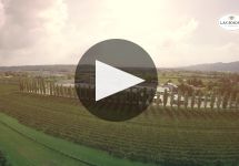 La Gioiosa Winery Video