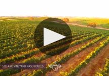 Windstream Winery Video