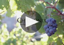 Chamonix Winery Video