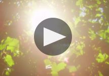 Sokol Blosser  Winery Video