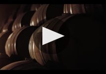 Jose Cuervo Winery Video