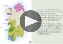 Agricola Punica Winery Video