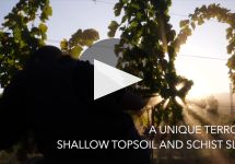 Ultimate Provence  Winery Video